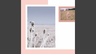 Alluring Ambience for Cryo