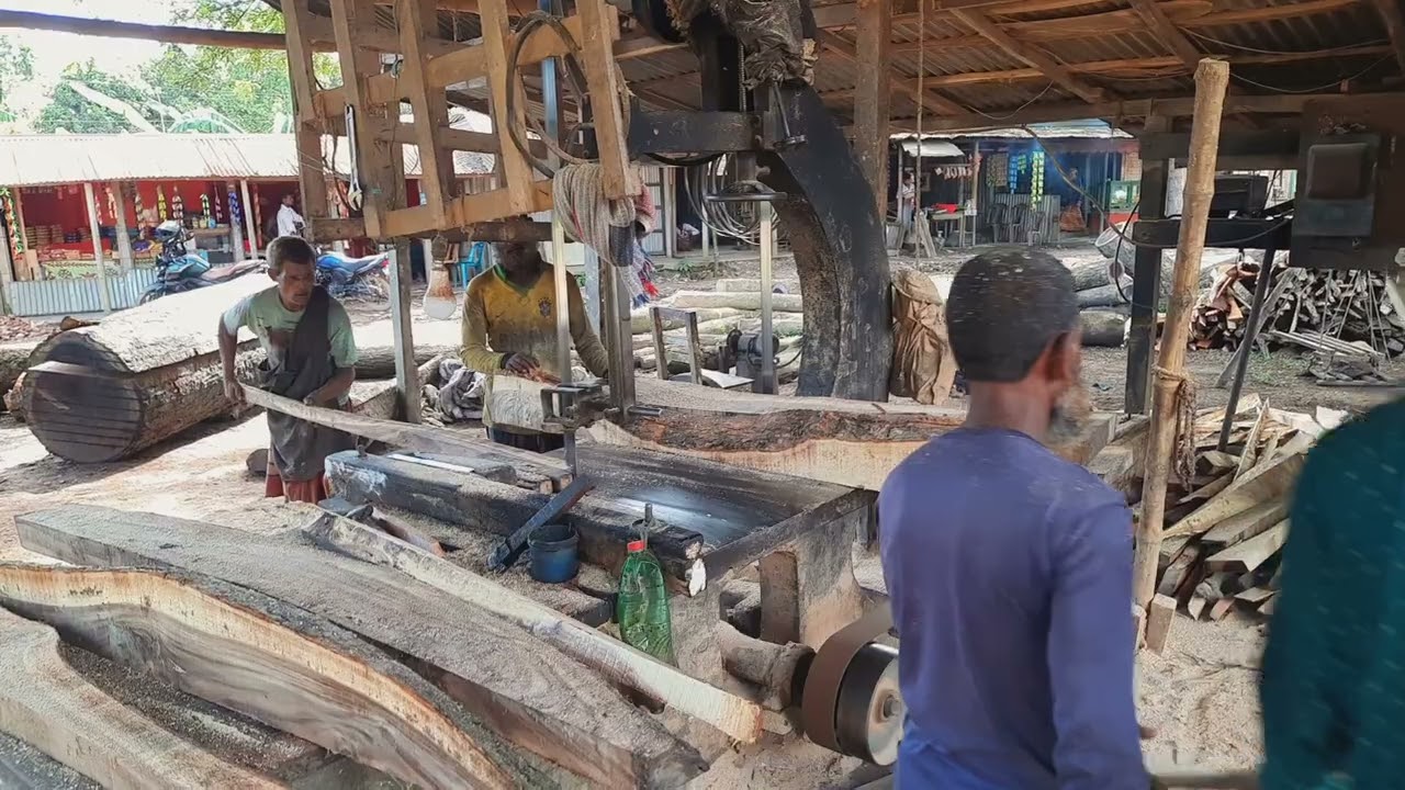 Jackfruit Tree Cutting Master Skills | Bangladeshi Sawmill Machine | Perfect Wood Shaping