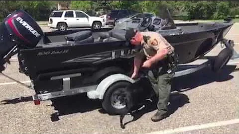 Shelby the zebra mussels-sniffing K9