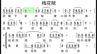 梅花赋/梅花賦 D调伴奏 (加小节指示，供参考）- instrumental in D with measure marks