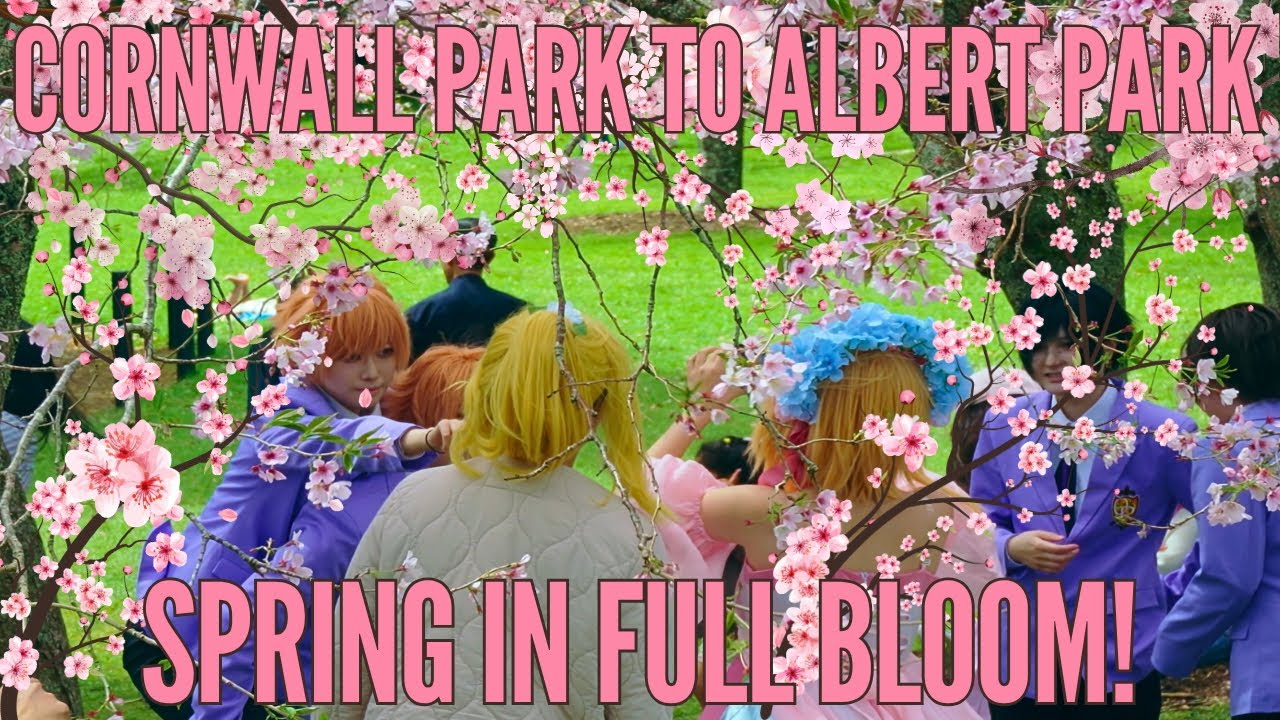 Cherry Blossoms at Cornwall Park + Albert Park Visit | Auckland Spring Vibes