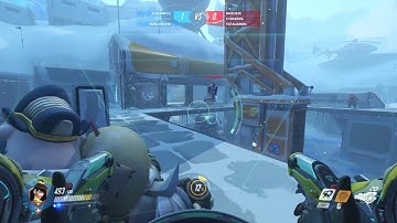 Overwatch - Year of the Rooster D.Va bug