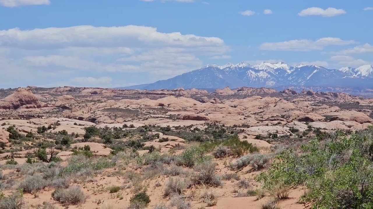Petrified Sand Dunes