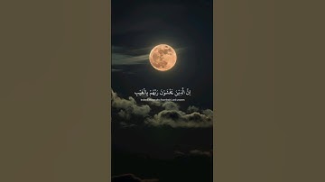 ﴿ وقالوا لو كنا نسمع او نعقل ﴾ سوره الملك، اسلام صبحي #قرآن​ #ارح_قلبك​ #قران_كريم​