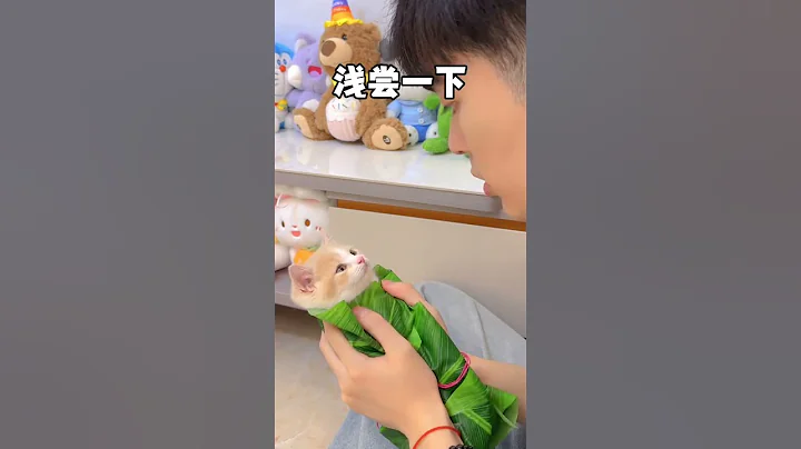 【獨生子的日常】端午節你們愛吃甜粽還是咸粽,我一般吃奶貓粽#小奶喵 #過端午絕不能將就 #各地端午美食申請出戰 #萬物可愛計劃 - 天天要聞
