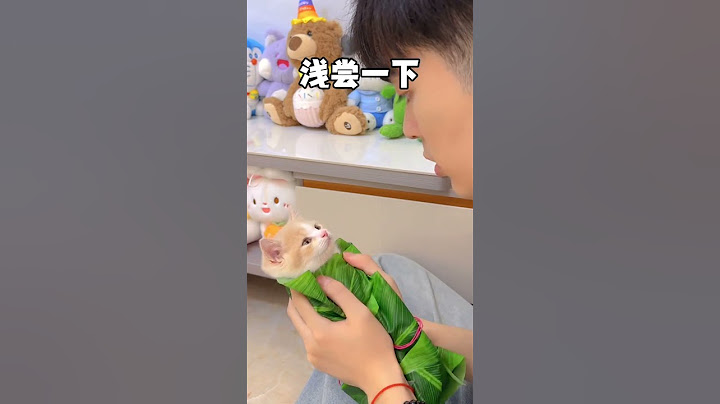 【獨生子的日常】端午节你们爱吃甜粽还是咸粽,我一般吃奶猫粽#小奶喵 #过端午绝不能将就 #各地端午美食申请出战 #万物可爱计划