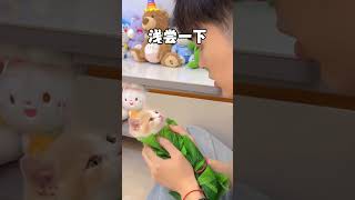 Thumbnail for 【獨生子的日常】端午节你们爱吃甜粽还是咸粽,我一般吃奶猫粽#小奶喵 #过端午绝不能将就 #各地端午美食申请出战 #万物可爱计划