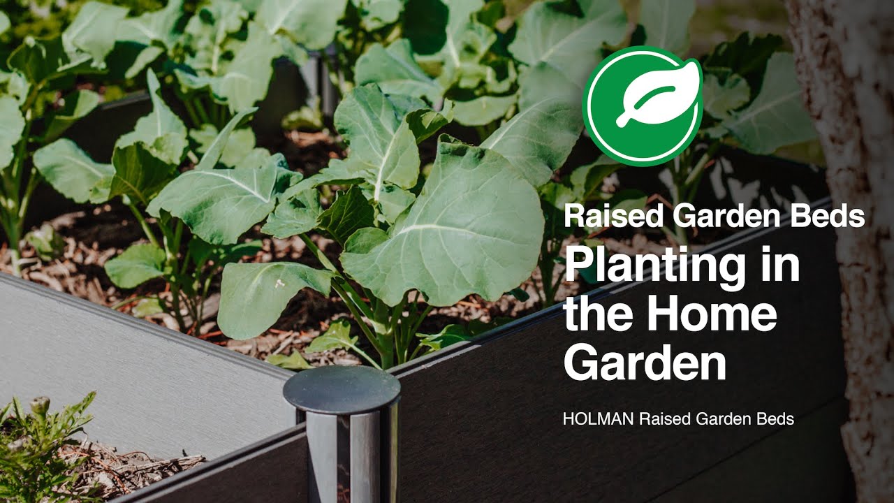 Holman Raised Garden Beds in the Home Garden YouTube
