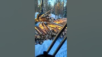 John Deer wood Log Loader #machine #heavyequipment