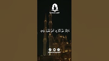 سورة الجمعة الايات 9-11 | ماهر المعيقلي✨