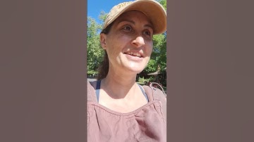 What is Receptive Language?