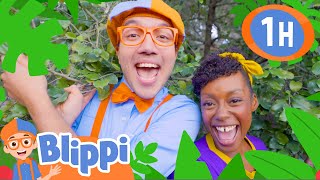 Blippi And Meekah Celebrate Earth Day! | Fun With Blippi! | Blippi Educational Songs For Kids