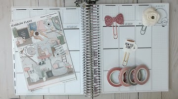 Plan With Me | Penny Pages Planner | ft. Sparrow Plans | January 11-17, 2021| Teresa Plans
