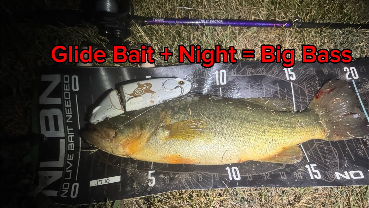 Fishing BIG Swimbaits at Night for Aggressive Bass! | 20+ LBS in One Night