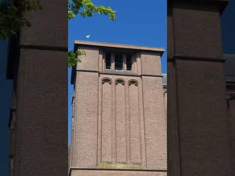 Baarn (NL) - Kerkklokken Rooms-Katholieke Nicolaaskerk(1)