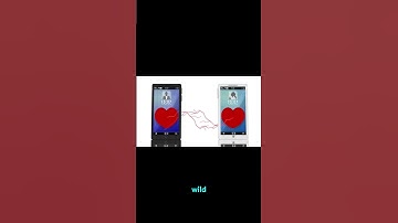 Did You Know Your Phone Is More Powerful Than NASA’s 1969 Moon-Landing Computers?