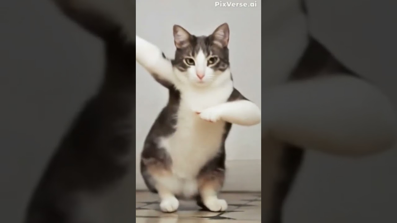 otorrinolaringolo oso cebra león 😁