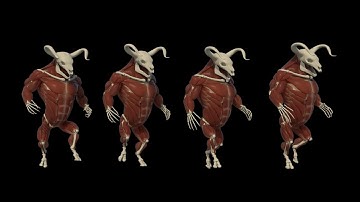 1. Introduction to Houdini Muscles