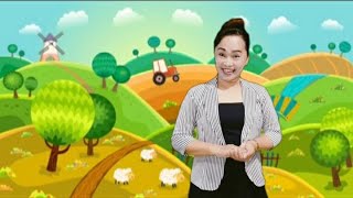 Small, Medium, Large | Sizes for Kids | Pre K Math | Preschool Math | Measurement for Kids | ESL