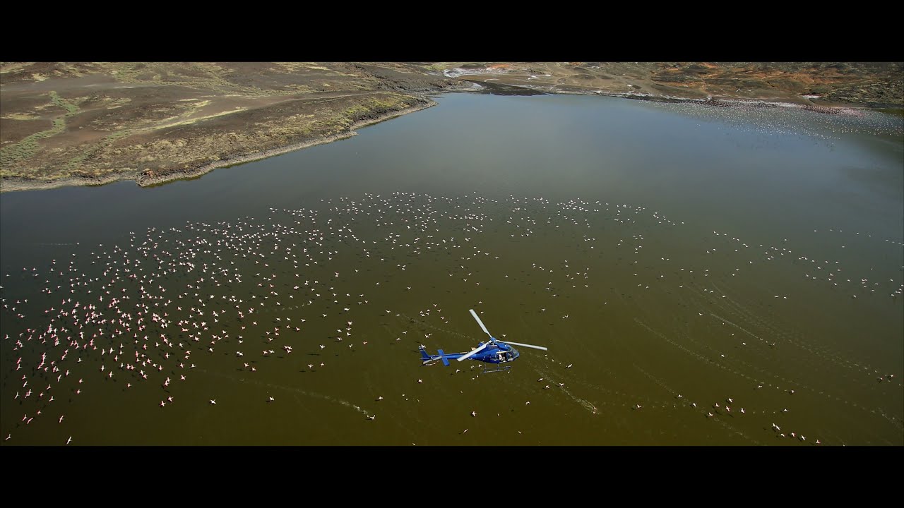 Epic Helicopter Tours