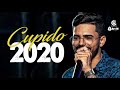 LUANZINHO MORAES 2020 - CUPIDO - MÚSICAS NOVAS - PROMOCIONAL JUNHO 2020