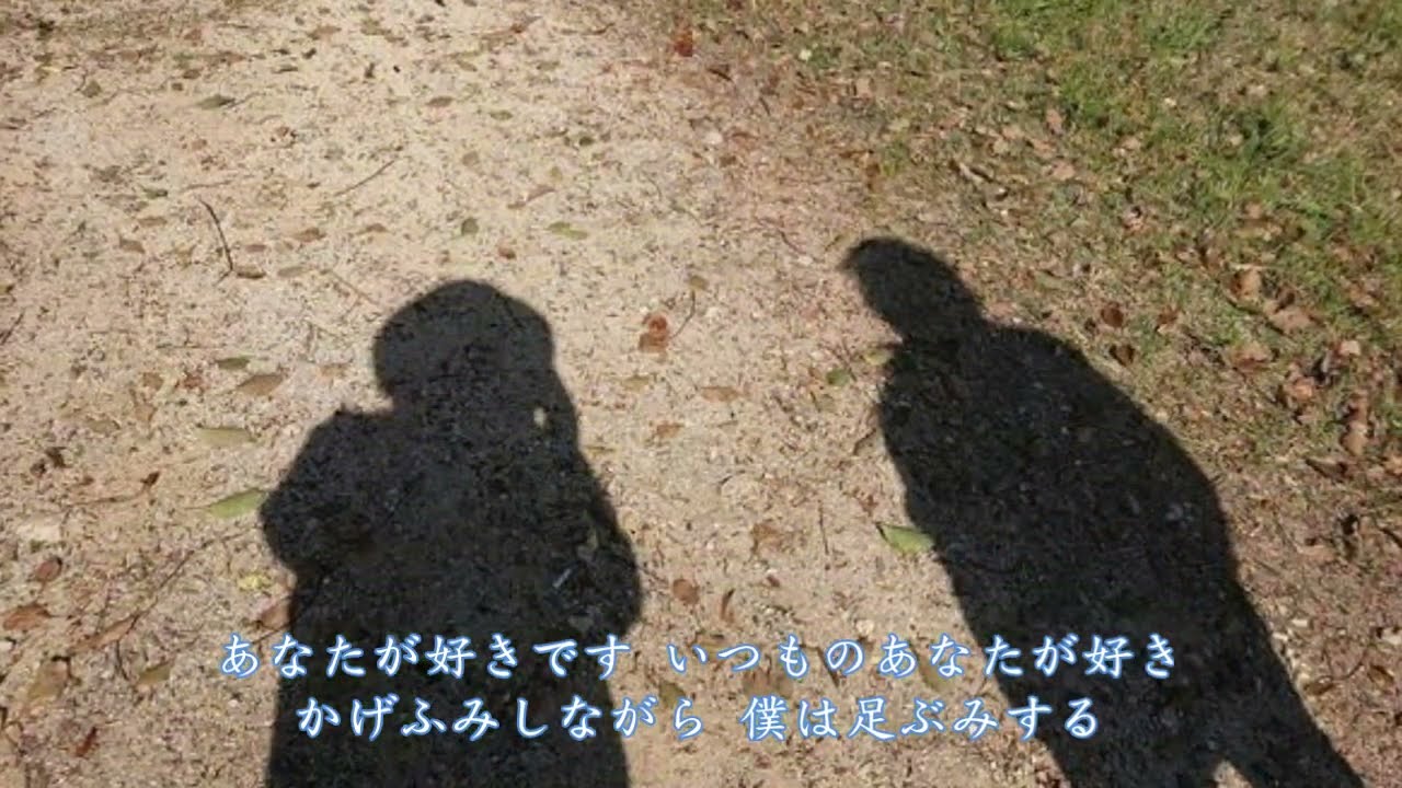 水色の木もれ陽　≪歌詞≫　ふきのとう ”風来坊”（1977年）