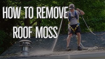 How To Remove Roof Moss  - And Keep It Away