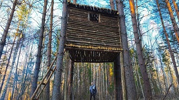 Building A TREE HOUSE alone, made 1 wall, part 5