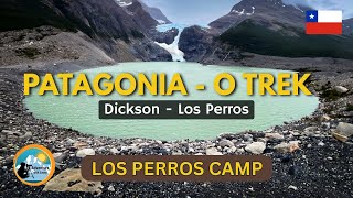 Travel vlog - Patagonia O Trek | Day 3: Dickson – Los Perros in Torres del Paine National Park Chile