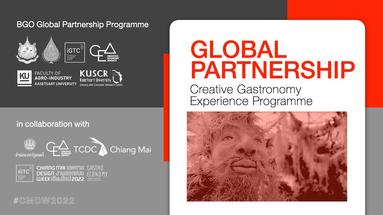 BGO Global Partnership Programme