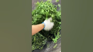 Manual Skills - Stirring Tea Leaves