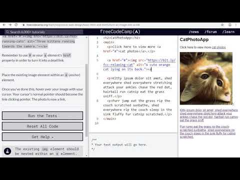 Basic HTML and HTML5:Turn an image into a link.How solve Basic HTML  Turn an image into a link.