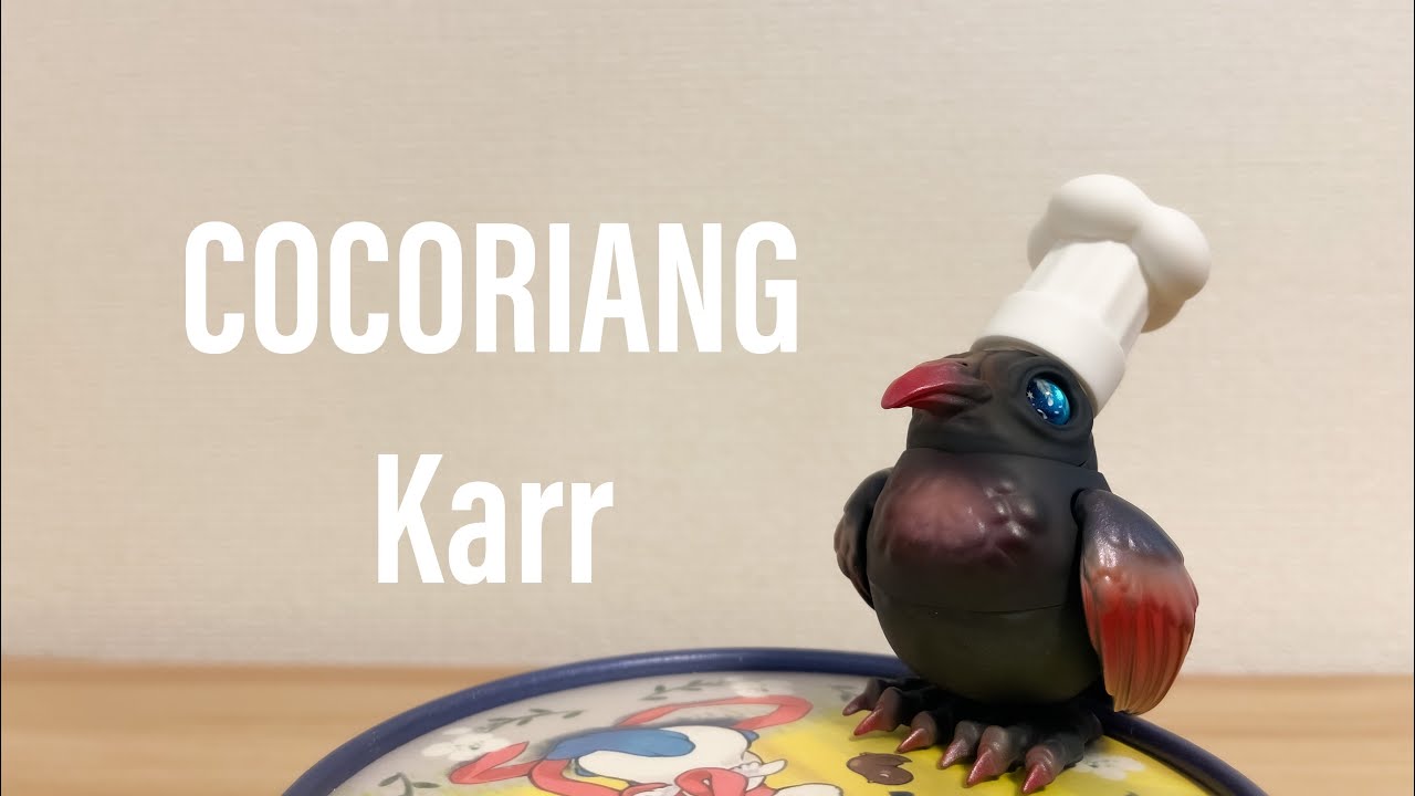 COCORIANG 〜Karr〜お迎えしました - YouTube