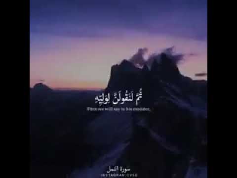 ابداع ايام صبحي كالعاده واجمل حلات واتس