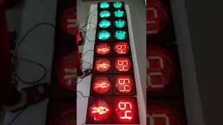 300mm pedestrian light with countdown timer