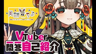 「【自己紹介】Vtuber一問一答自己紹介【月餅（つきもち）ちよ/新人Vtuber🥮】」のサムネイル