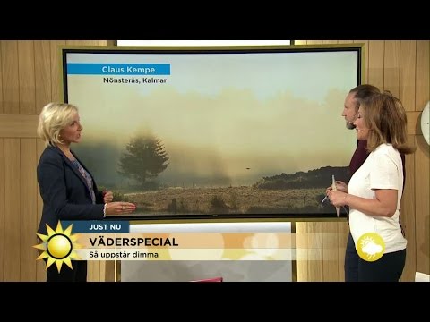 Väderspecial: Så uppstår dimma - Nyhetsmorgon (TV4)