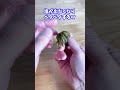 【検証】ワームを茹でると塩がなくなるの？(バス釣り)