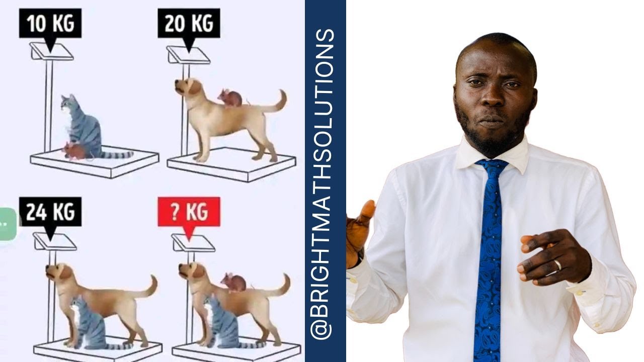 12.5kg/15kg/17.5kg/22.5kg/35kg 各2個ずつ計10個 Surprising Kg of Dog, Cat, And Rat Revealed - YouTube
