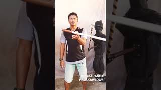 CEM Stick Dummy V2 target precision