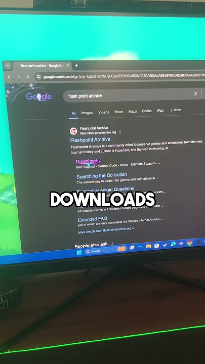 How to play flash games in 2024