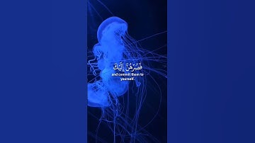 قران كريم بصوت جميل #قران_كريم #قرآن #اكسبلور #quran