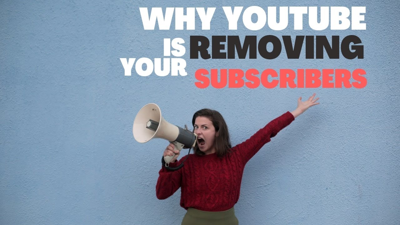 why YouTube is deleting subscribers from channels ? 