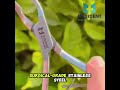 Friedman Bone Rongeur Premium Quality | Medident Enterprises ⭐