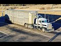 Custom Peterbilt 359 Hauling Cattle To Hyrum UT