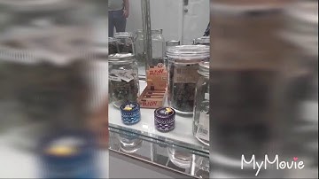 Forward Solutions 4 2 0  Intro 2