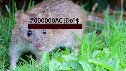 MTA:SA | XYZ vs AC|Do"$ & Zeyad | #ACRAPED