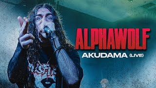 Alpha Wolf - Akudama (Live At Full Tilt, Brisbane)