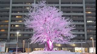 20220106駅前イルミネーション雪景色