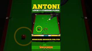 Antonis Insane 4 Cushion Fluke